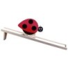 Promenade coccinelle