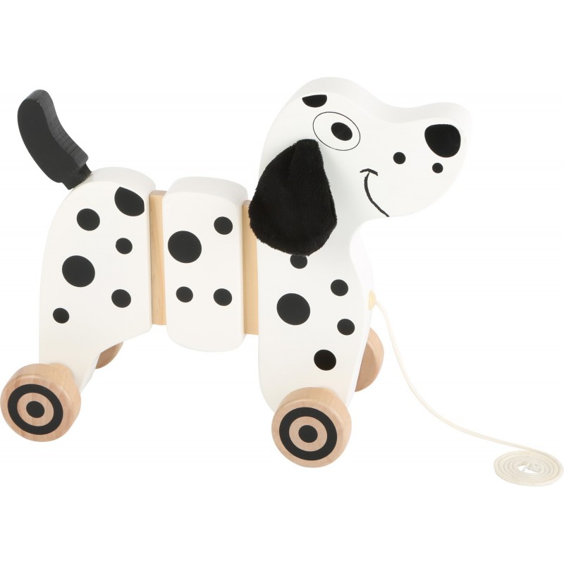 Dalmatien a tirer